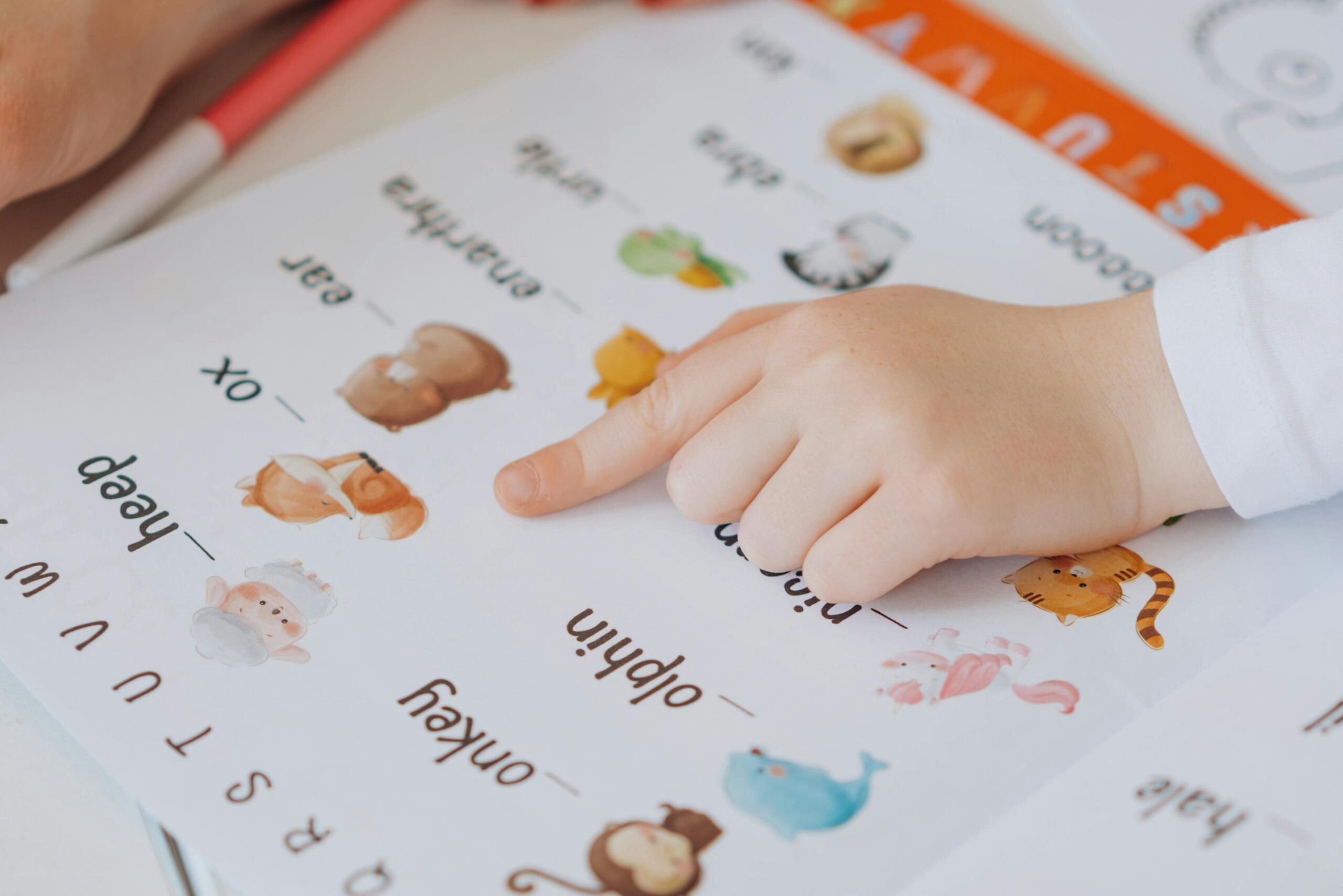 A child points to animals in a colorful alphabet book, learning letters.